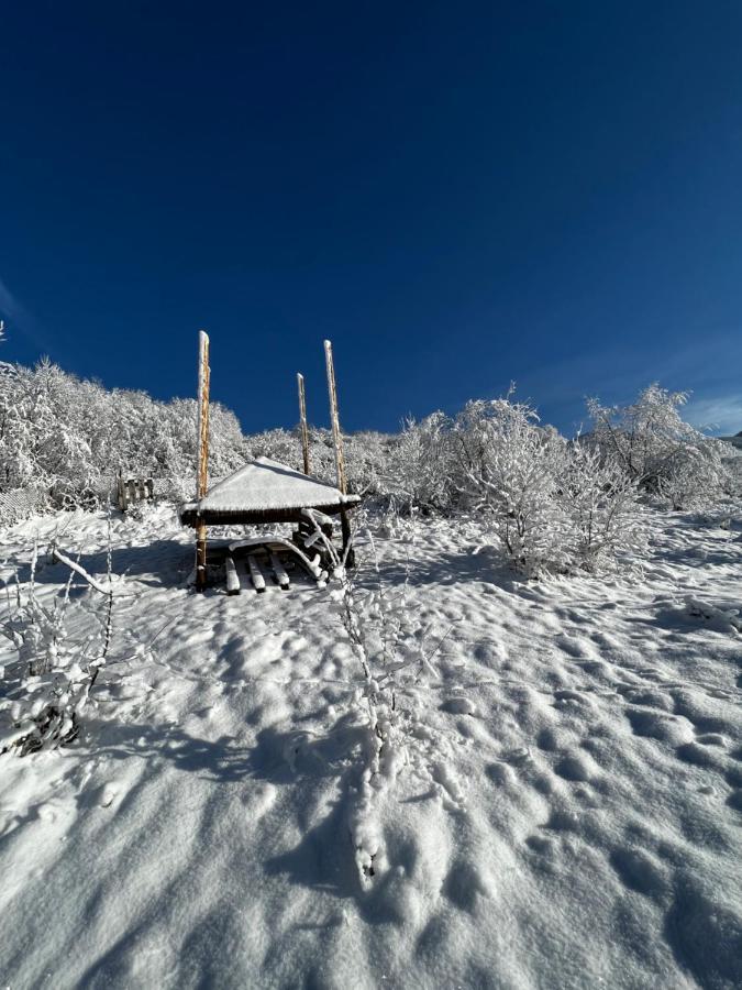 Готель купецький двір Міжгір'я